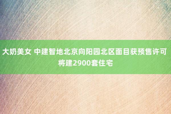 大奶美女 中建智地北京向阳园北区面目获预售许可 将建2900套住宅