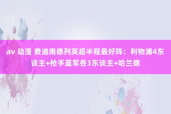 av 动漫 费迪南德列英超半程最好阵：利物浦4东谈主+枪手蓝军各3东谈主+哈兰德