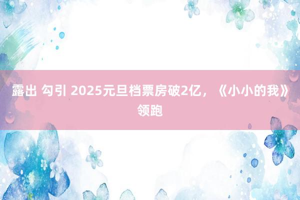 露出 勾引 2025元旦档票房破2亿，《小小的我》领跑