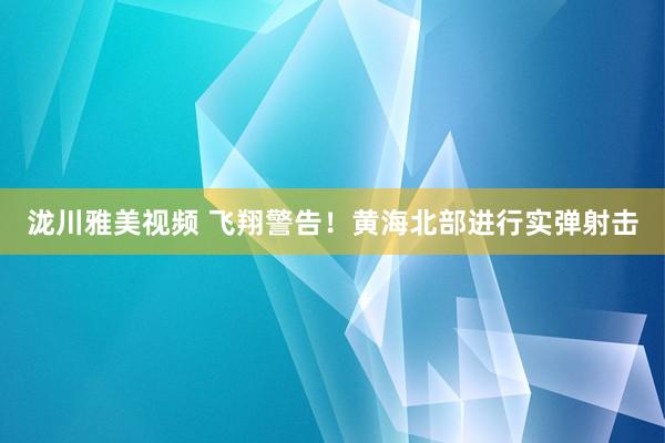 泷川雅美视频 飞翔警告！黄海北部进行实弹射击