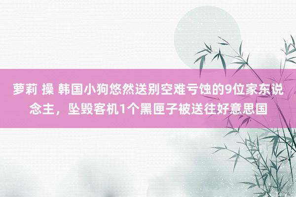 萝莉 操 韩国小狗悠然送别空难亏蚀的9位家东说念主，坠毁客机1个黑匣子被送往好意思国