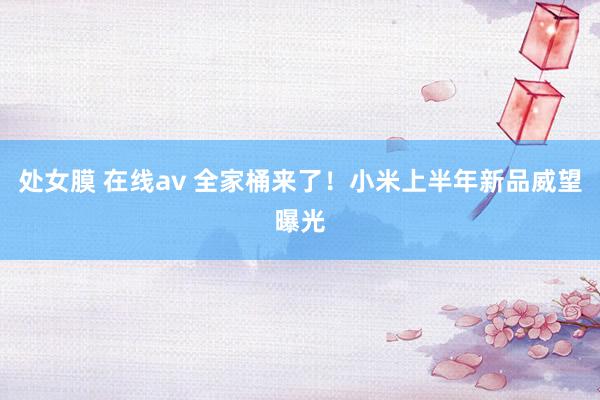 处女膜 在线av 全家桶来了！小米上半年新品威望曝光