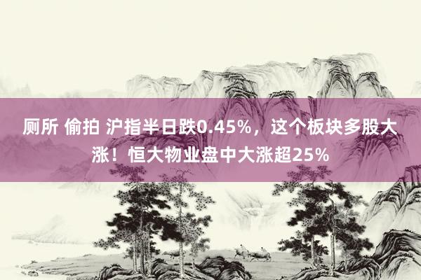 厕所 偷拍 沪指半日跌0.45%，这个板块多股大涨！恒大物业盘中大涨超25%