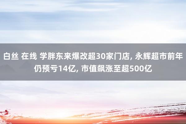 白丝 在线 学胖东来爆改超30家门店， 永辉超市前年仍预亏14亿， 市值飙涨至超500亿